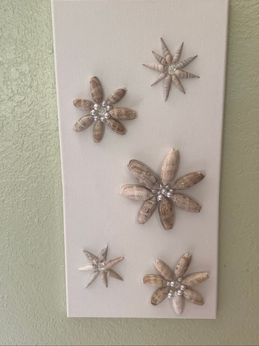 Seashell Picture Handmade with Shells from the Gulf of America